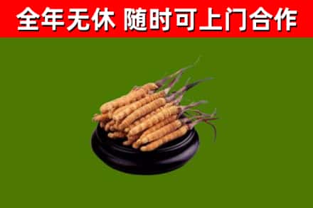岳池县回收冬虫夏草
